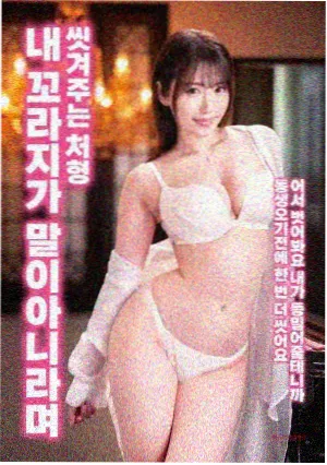 动画唱片午夜分类学封面示意